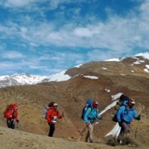 Logotipo del grupo IML 2023